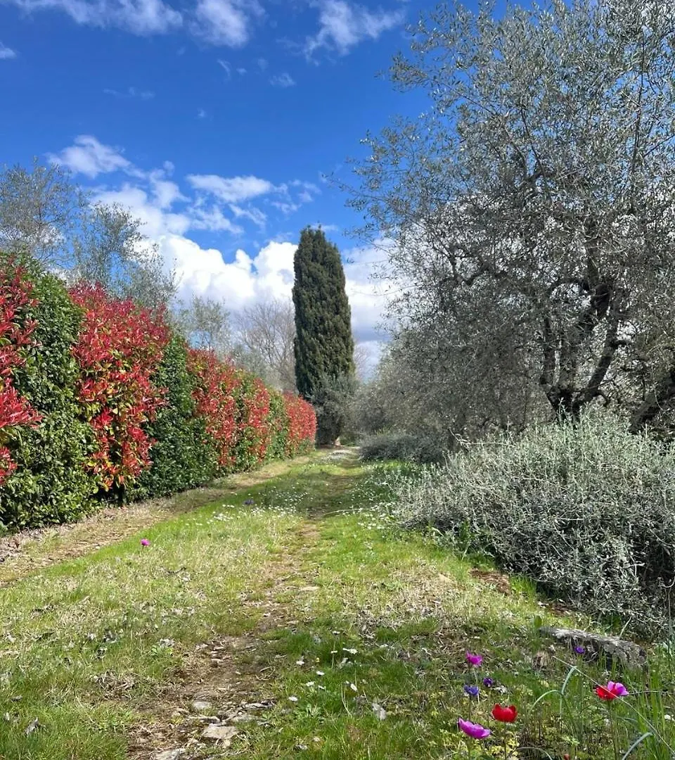 Holiday home Podere Il Sodo Bargino Italy